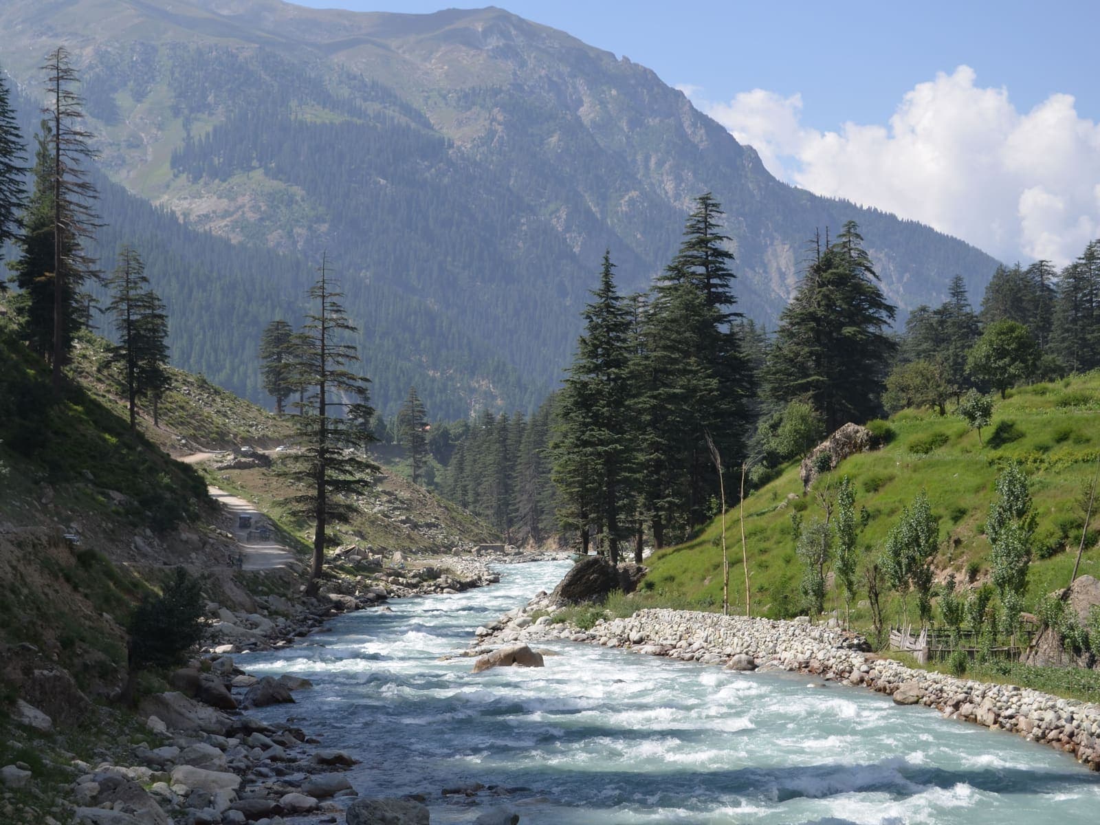 River and pine forest in a northern Pakistan valley