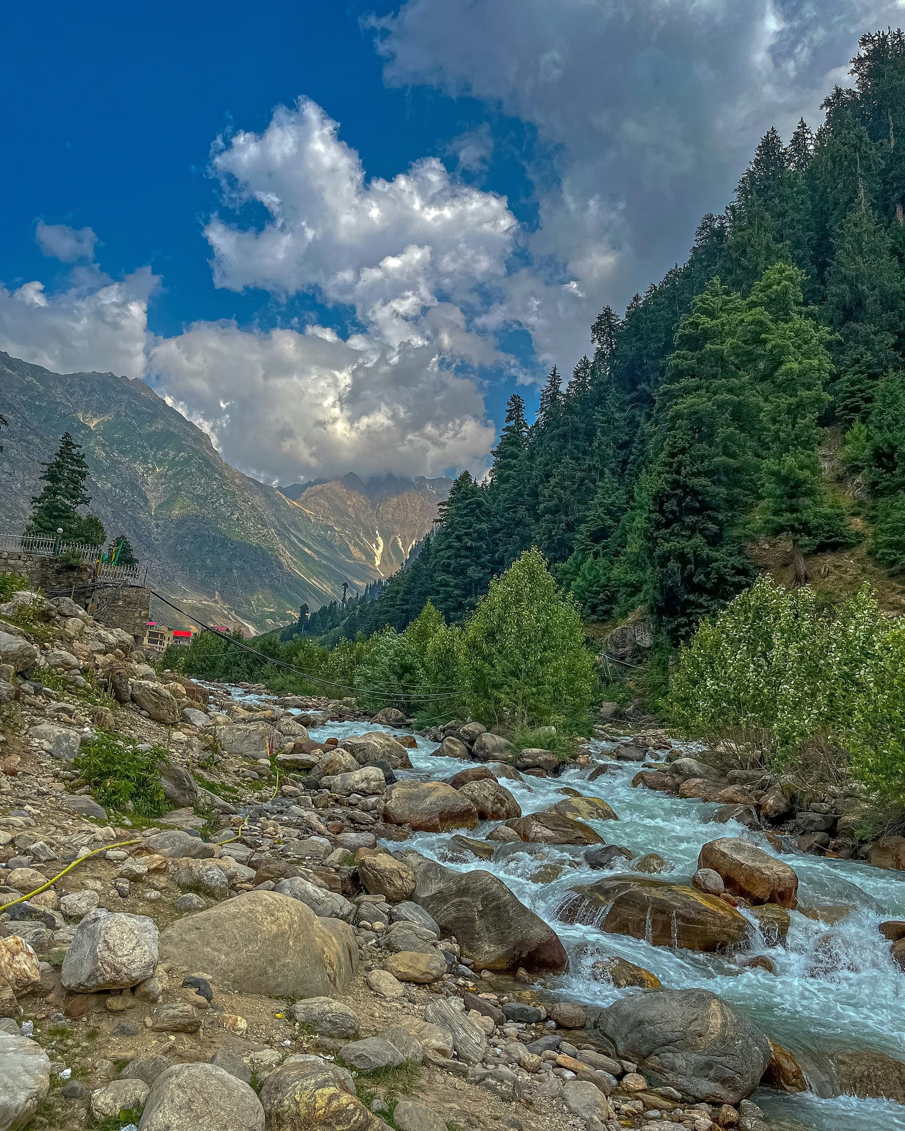 Mountain stream and pine forest in the Kaghan valley